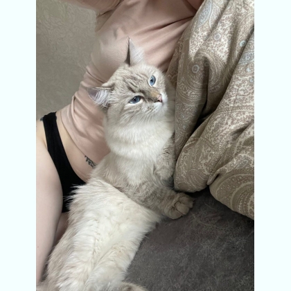 ��� �������� ���� ������ ��������� 