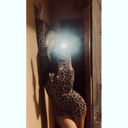 �������� �������� �������� ���� ���� �����