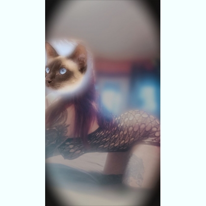 ��������� ���� � ��������� �����, ������ � �������� ��������